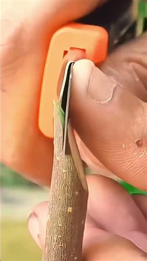 slicing technique in cutting