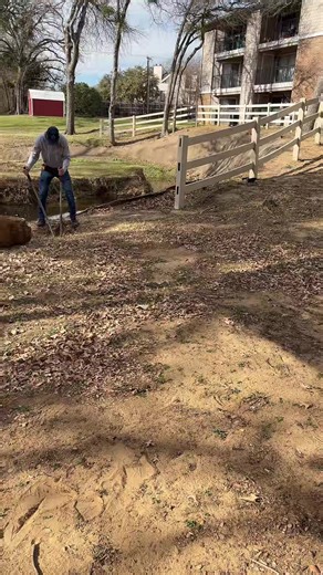 Fence repair in progress Loose posts, broken boards, storm damage we handle it all. If your fence needs attention, give us a call for a free inspection. 📞 972-689-2091 #fencerepair #dallastx#DFWFencing #FenceCompany #fenceinstallation