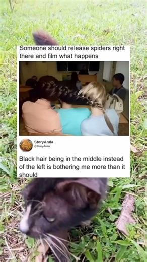 Hair braids that can cause problems.