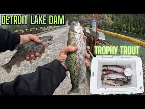 Trophy Trout Limits with Huge Bites at Detroit Lake Dam | Oregon Trout Fishing (2026)
