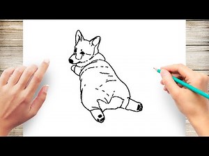 How to Draw a Corgi