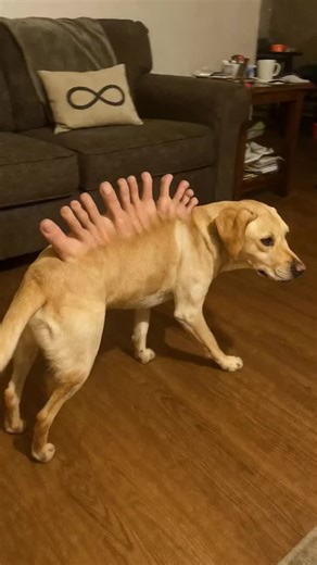 Infinite Unreality on Instagram: "Name is Finger"