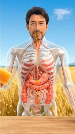 What Really Happens After Eating Fresh Honeycomb? 🐛