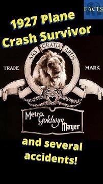 MGM Lion SURVIVES Plane Crash *4K*