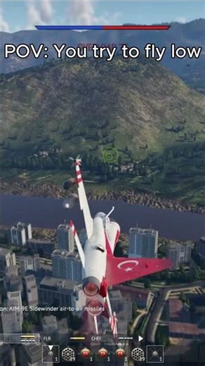 POV: You fly just a bit low