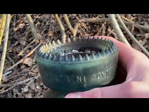 Insulator hunters find things they’ve never found before, as well as possibly the end of the line