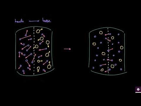 Le gradient de concentration