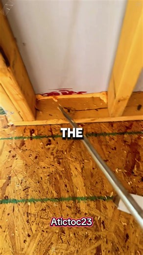 Controversial Playground Incident: What Really Happened