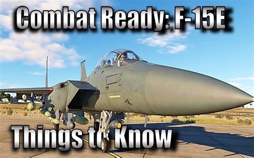 【DCS World】F-15E 打击鹰 你需要了解这些