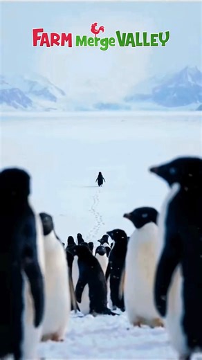 Don’t listen to others. Listen to your inner farmer © Farm Merge Valley 🏔️ 🎁 Gift Code: BUTWHY Redemption deadline: 2026/02/28 11:59 PM (UTC) Dedicated to пал 🐧 #FarmMergeValley #penguin #butwhy | Farm Merge Valley