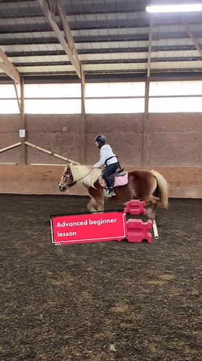 Student is learning to hold her two point over poles, pony is practicing trot poles and straight lines 🥰 #clickertraininghorses #lessonhorse