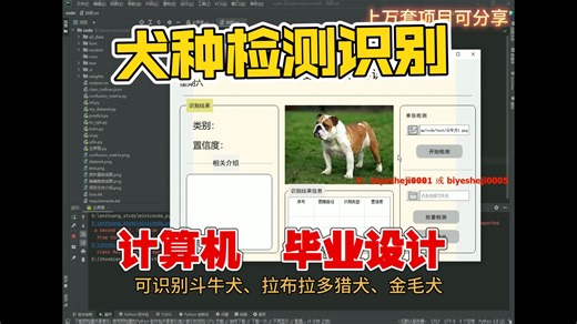 计算机毕业设计：Python犬种检测识别 深度学习 CNN网络 xception算法网络 机器学习 图像识别 目标检测 数据分析 可视化 数据挖掘