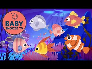 Relaxing Fish Lullabies with Calm Ocean Scene