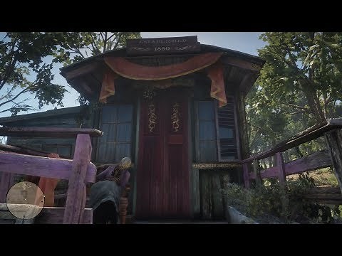 RDR 2 Madame Mozelle's House / Roadside Brothel Red Dead Redemption 2