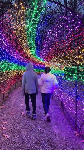 🎄 Visit us at Sandy Hill Farm in Eliot, Maine to see why we are New England’s most festive holiday lights show! 🎟️ Hurry and get your tickets! Times are selling out quickly (including tonight!).#holiday #holidaylights #christmasdecor #christmas #christmaslights #sandyhill #samdyhillfarm #eliot #eliotmaine #maine #eliotme #thingstodo #family #familyfun #christmastradition #tradition #holidaytraditions | Sandy Hill