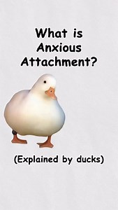 What is anxious attachment? (explained by ducks) | Diploma Duck