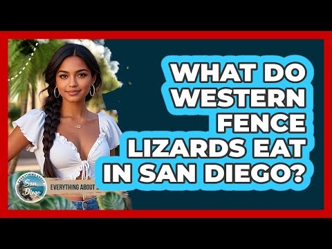 What Do Western Fence Lizards Eat In San Diego?
