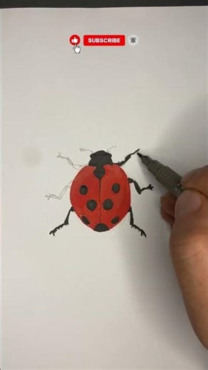 How to Draw a Realistic Ladybug | Colored Pencil Tutorial