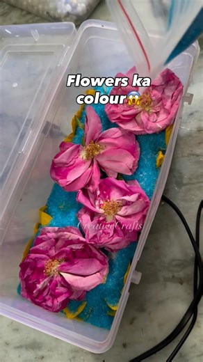 Pink roses ka colour change ho gya to😱😭 #resinart #resinartist #resincrafts #resinartindia #resin
