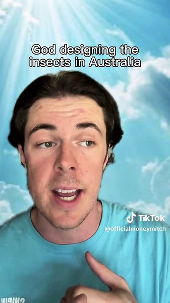 Exploring Australia's Insects and Spiders