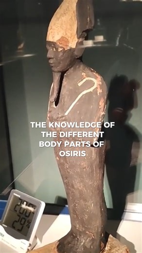 19K views · 248 reactions | Watch Timothy’s full lecture and 60+...