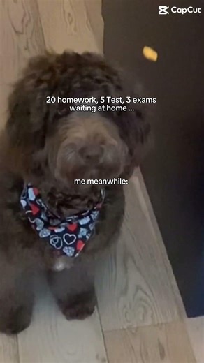 lol homework can wait