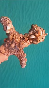 A unique artifact, 900 years old, has been discovered at the bottom of the sea. #discovery #news | Mysteries of Forgotten Artifacts