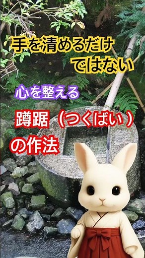 【茶道のある暮らし】蹲踞（つくばい）の作法