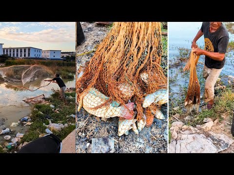 Unbelievable Fishing Spot – Catching So Many Fish in Such Shallow Water