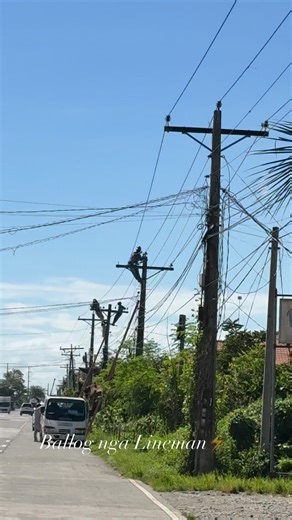 Massive replacement of aged pin-type insulators across our distribution lines. ⚡️ 💡 #InfrastructureUpgrade #FieldWork #InsulatorReplacement #EnergyReliability | Ballog nga Lineman