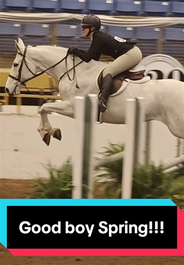 Spring Fling was PHENOMENAL for stock show!! High placings in our hunter classes & we took 1st in the Ariat medal!! 🥇 he’s gonna get a well deserved break now & we’ll start riding again in march!! 🥰 #horse #equestrian #stockshow #farmlife #fyf