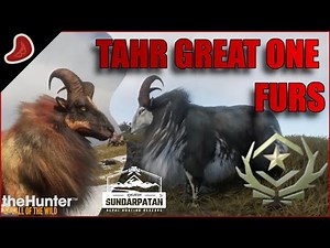 NEW Great One Tahr!!! | ALL Fur Types!! | Tahr Spotlight! | theHunter: Call of the Wild