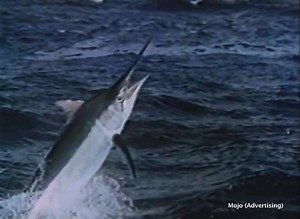 153K views · 2K reactions | Tooheys ''How'd do you feel؟' REX Mossop 1982 | Retro Rugby League videos | Facebook