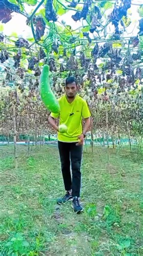 #viralreelschallenge #100k #Amazing #reels | Anis Islam