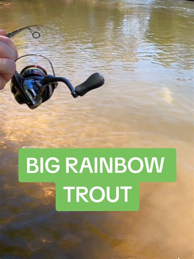 Successful trout fishing in summer is all about trying different techniques to figure out how the trout are feeding ☀️🎣 On this day it was drifting a 55mm jerkbait across the current at 45 degrees, letting it swing through the bubble trail with a couple of sharp twitches… and this Goulburn River rainbow absolutely crunched it. Who else loves chasing trout through summer? 👇 #troutfishing #goulburnriver #rainbowtrout #fishingvictoria #fishingaustralia