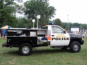 Police Blotter: Arrests, including at Pathmark, and Damage to Cars