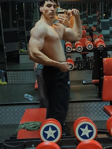 Essential Ab Exercises for Gym Enthusiasts
