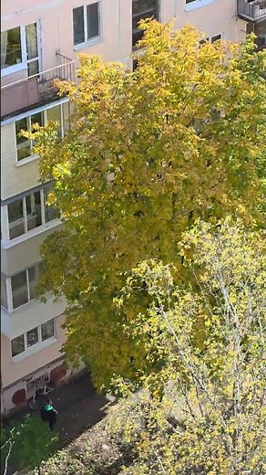 11 октября 2025 г.