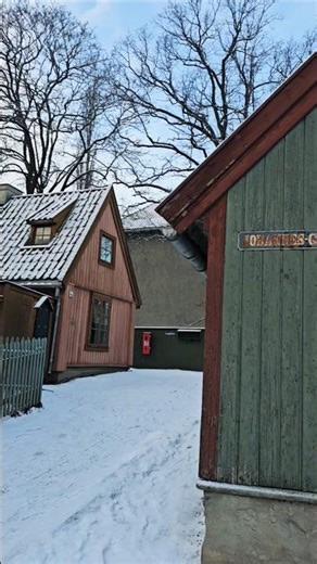Norway in winter #norway #oslo