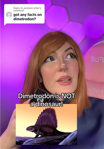 This is what people don’t know about Dimetrodon! | Dimetrodon