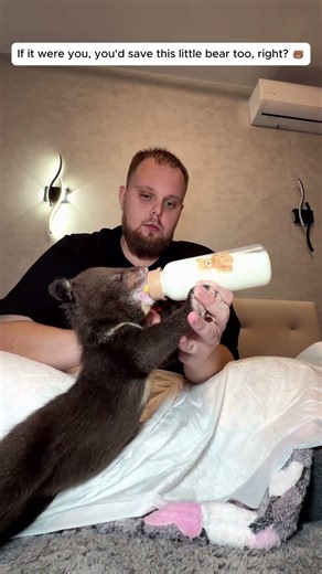 If it were you, you'd save this little bear too, right? 🐻