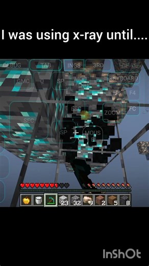 I was using x-ray until.....