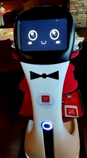 Visit UAE first AI Robotic theme Restaurant at Mushrif Mall, Abu Dhabi #kiwizo #mushrifmall #uae #expo2020dubai #abudhabi🇦🇪