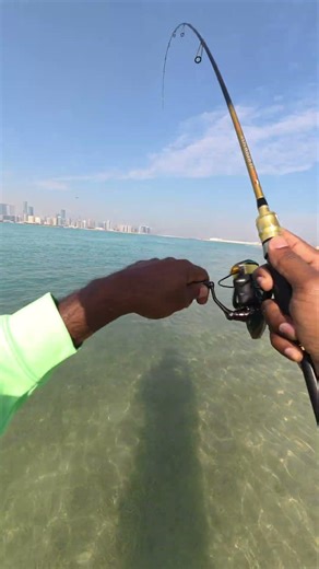 🌅 Orange Spotted Trevally are highly active during the morning session 🎣#fishing #shortvideo #shorts