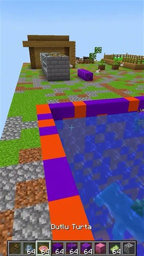 Lia and Baby Lia Swimming #minecraft #shorts #gaming