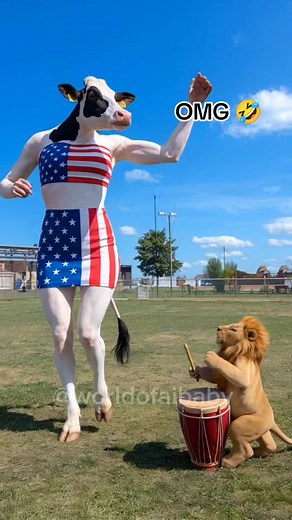 Funny Cow Dance Video That Will Make You Laugh