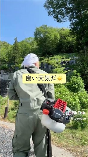 あじさい周りの草刈り作務🌿