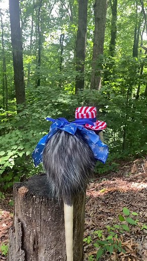 Feeding Hot Dogs to a Pet Possum | Wildlife Rescue Video