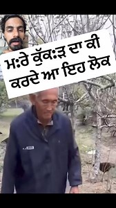 ਮ:ਰੇ ਕੁੱਕ:ੜ ਦਾ ਕੀ ਕਰਦੇ ਆ ਇਹ ਲੋਕ #maanbrar #viral #popular #henfarming #hen #viral #likeforlikes #LikeFollowShare #farmer #kisaan #thialand #goa #beach #nightout @top fansMaan BrarBabbu Maan Bai | Maan Brar