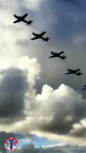 esquadrilha da Fumaça chegando na Base Aérea de Santa Cruz no Rio.